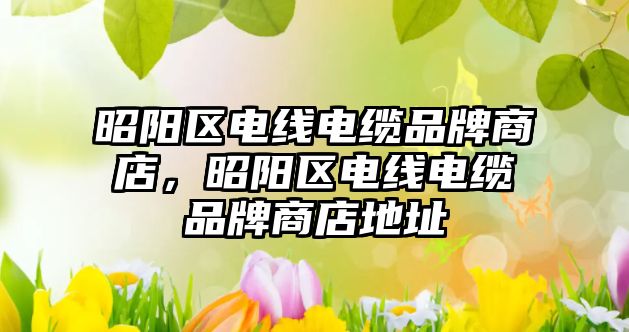 昭陽區電線電纜品牌商店，昭陽區電線電纜品牌商店地址