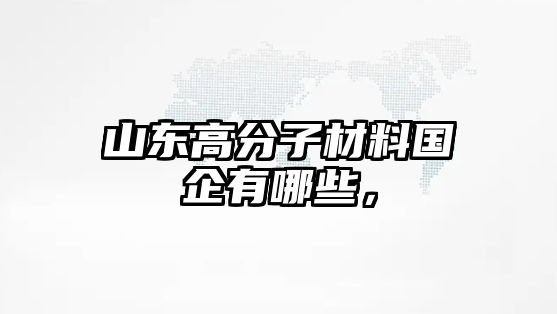 山東高分子材料國企有哪些，