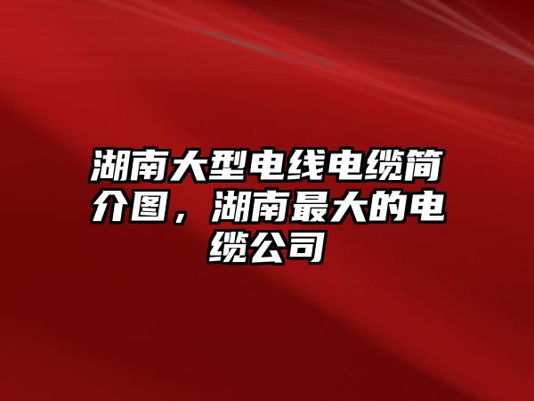 湖南大型電線電纜簡介圖，湖南最大的電纜公司